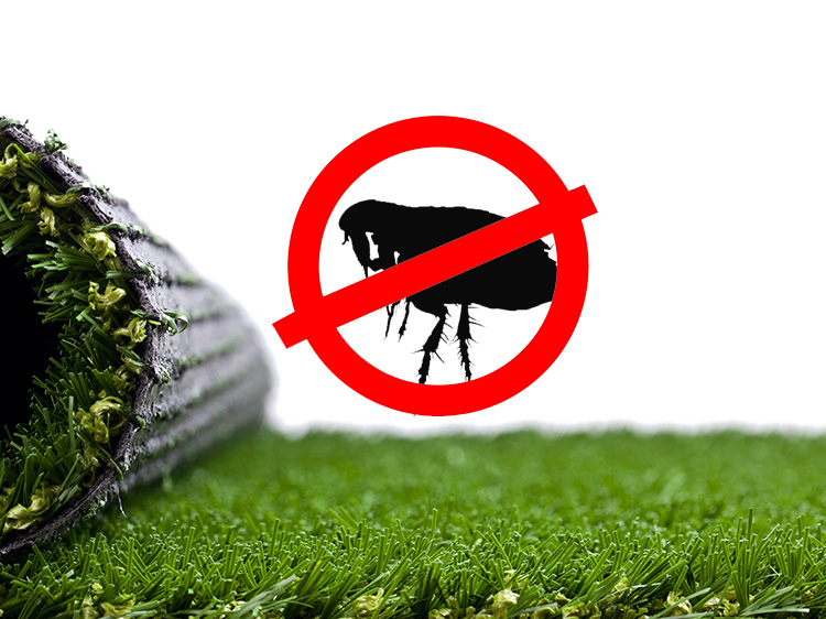 Prevent Fleas with Synthetic Putting Green Installation in Orlando