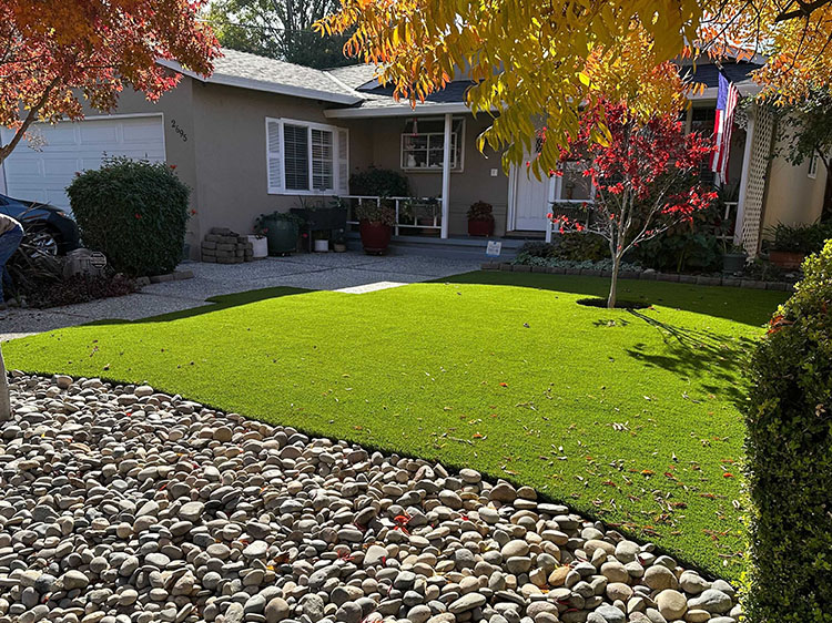 Understanding the Non-Toxic Nature of Artificial Grass