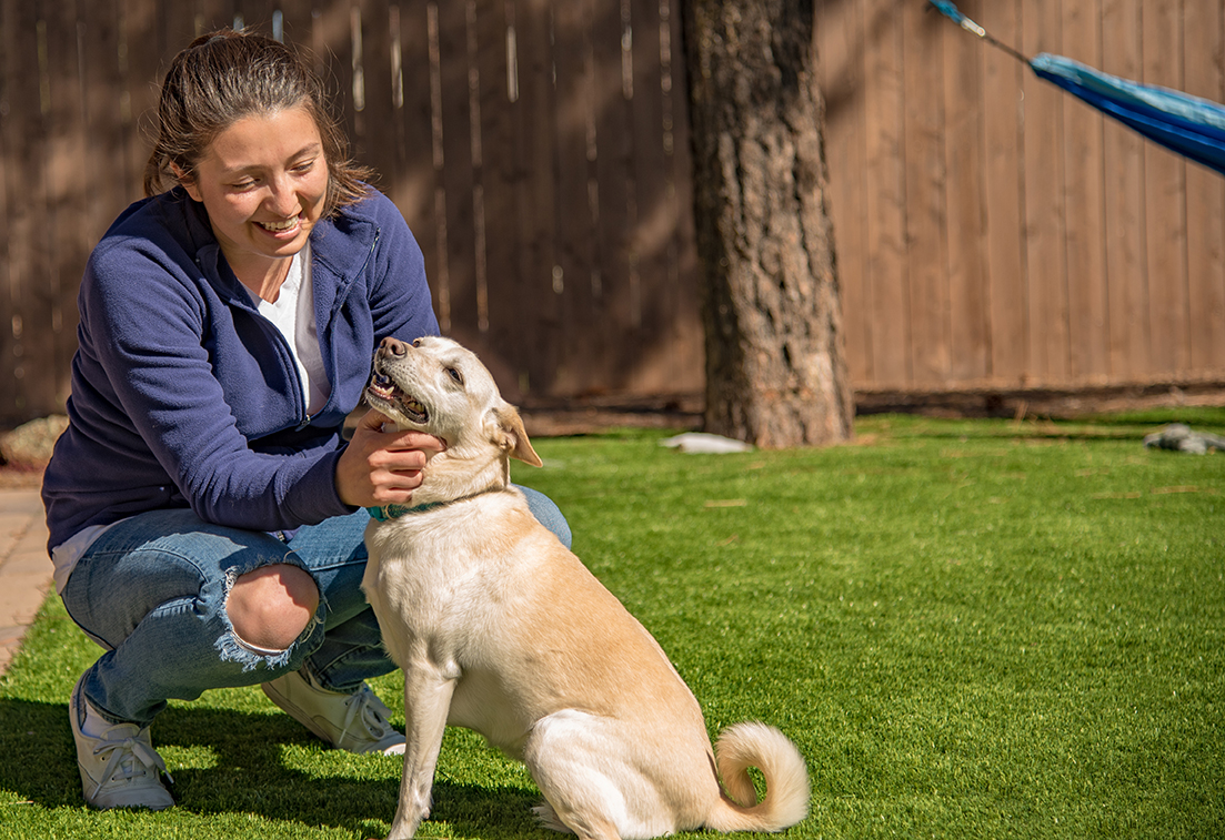 Pet Owners and Artificial Turf in Modesto: Why It’s the Perfect Fit!