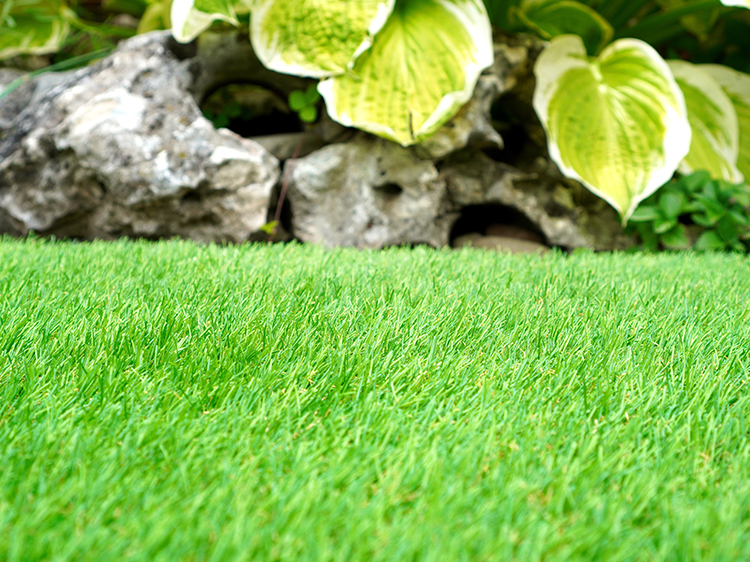 Artificial Grass Installers in Long Island Suggest Plants for Shady Yards