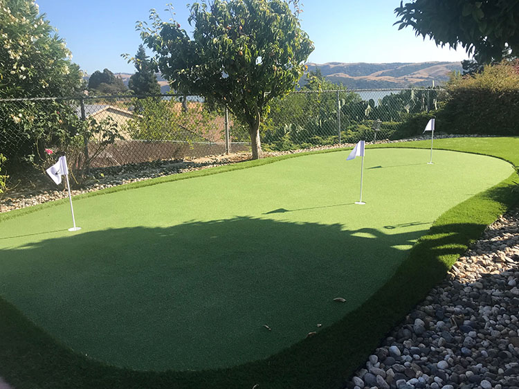 Synthetic Grass putting green golf game