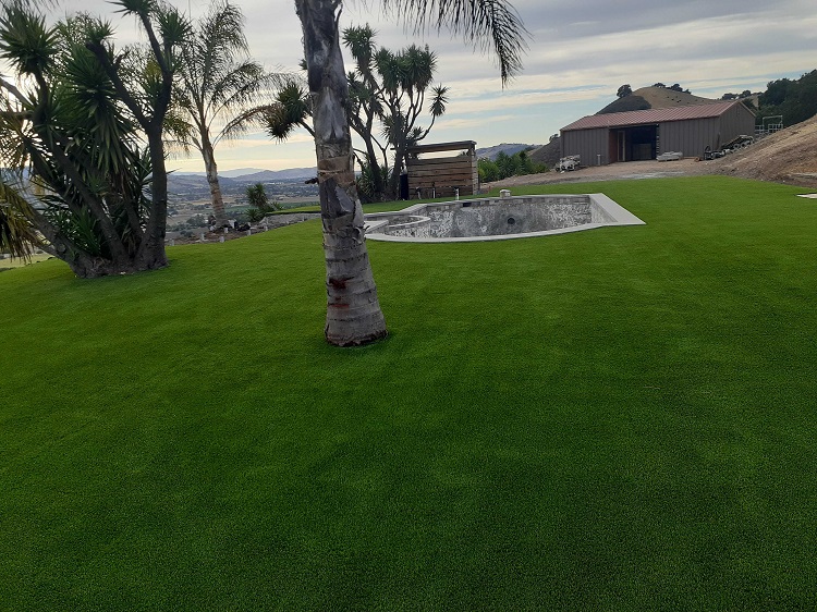 Synthetic Grass in Stockton: Maintenance-Free + More Benefits