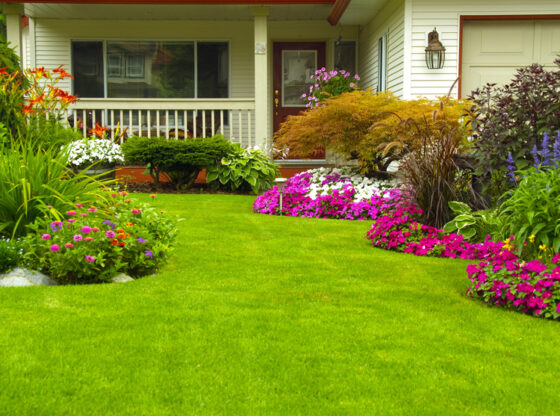 Top Types of Gardens You Can Create on the Best Artificial Turf