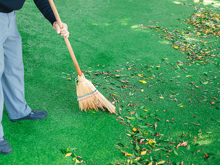Cleaner Backyard for Artificial Turf