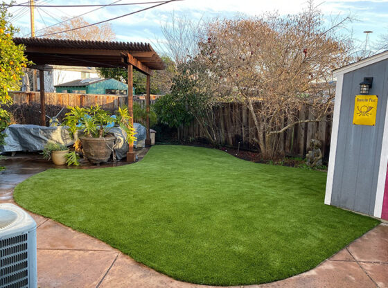 How Artificial Grass In Palm Beach Can Give You Both Space And Style
