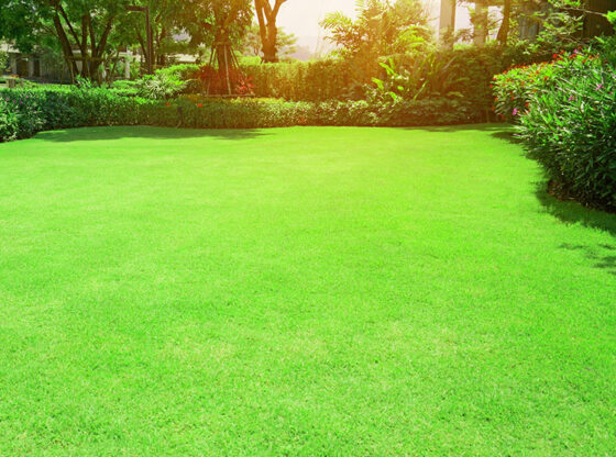 Top Outdoor Landscaping Ideas for Artificial Grass Installation NJ