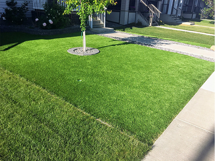 10 Things to Consider When Choosing Artificial Grass in Chicago for Your Home