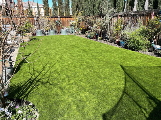 Using Reno Artificial Turf for Your Front Lawn