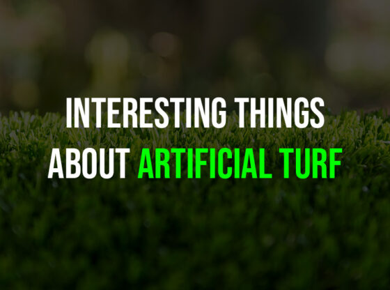 10 Fun Facts About Artificial Turf in Kansas City You Didn't Know (And Will Love!)