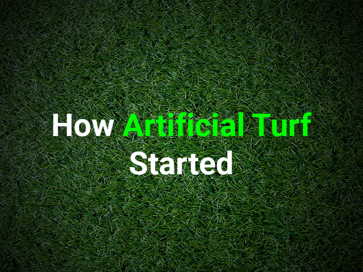 How Artificial Turf in Santa Cruz CA Started