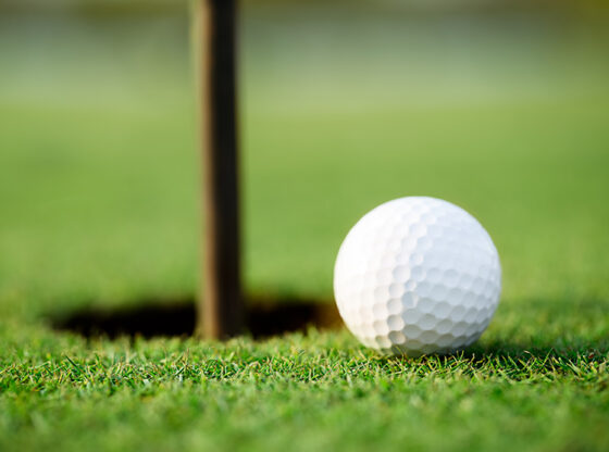 9 Advantages of Artificial Grass Putting Greens in Manteca