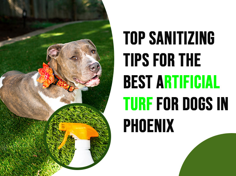 Top Sanitizing Tips for the Best Artificial Turf for Dogs in Phoenix