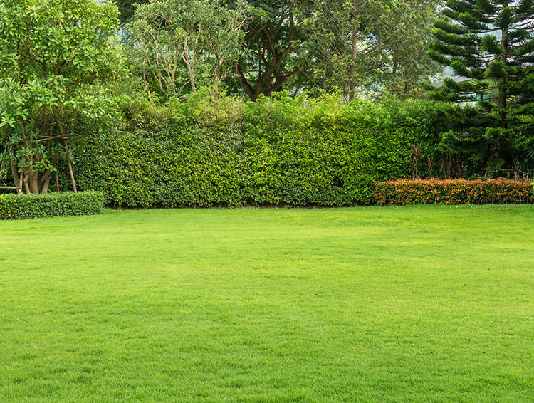 9 Reasons to Install Artificial Grass Installation in Fresno CA for a Weed-Free Yard