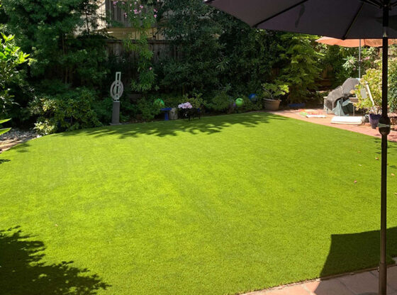 How Artificial Turf in Phoenix Keeps Lawns Weed Free