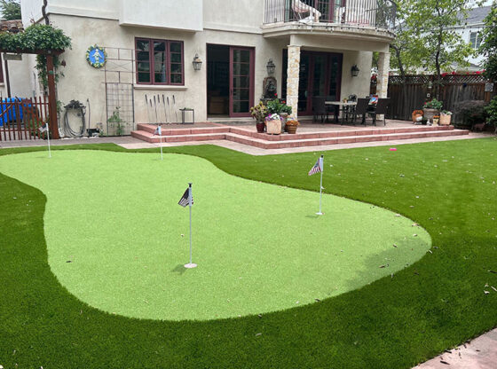 8 Reasons Why You Should Go for Artificial Turf Installation in Denver CO