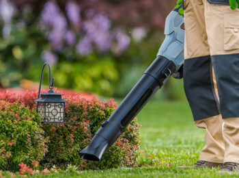 How to Clean Landscaping in Reno Nevada Easy Tips