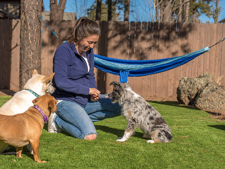 Benefits of Artificial Turf Installation in Chattanooga TN for First-Time Dog Owners