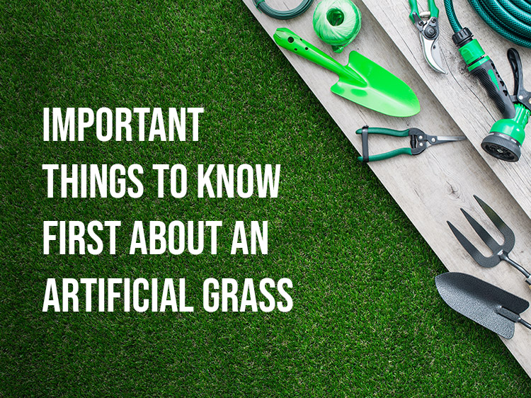 Important Things To Know First About an Artificial Grass