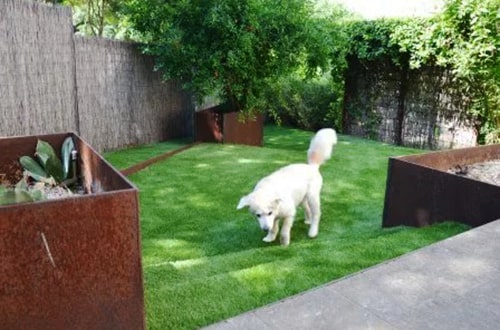 Artificial Pet Turf In Orlando for Enhanced Curb Appeal