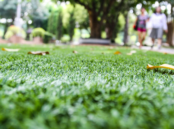 6 Requirements in Maintaining Artificial Grass Installation in Orlando