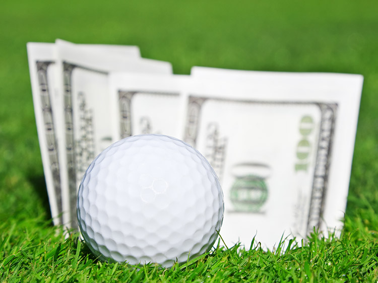 Cost Savings of Maintaining Putting Greens in Charlotte NC