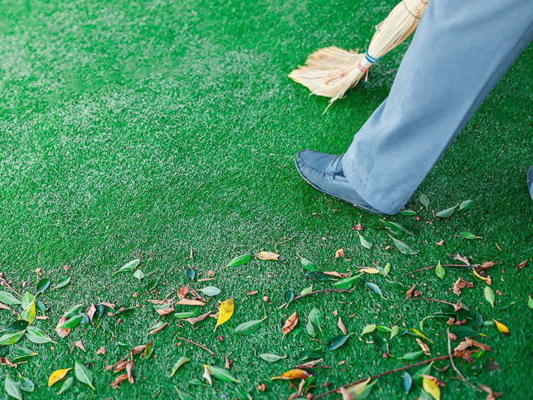 7 Reasons Why Artificial Grass Installation in Dallas TX is Perfect for High-Traffic Areas