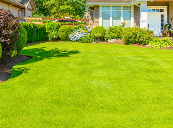 The Ultimate Guide to Choosing the Best Artificial Turf in Chattanooga TN for Your Landscape