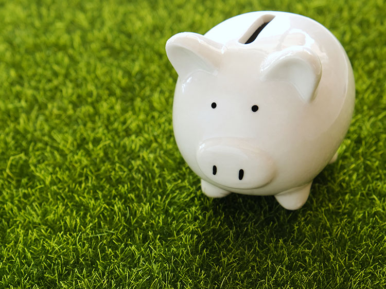 The Cost Breakdown: Budgeting for Artificial Putting Greens in Charlotte, NC