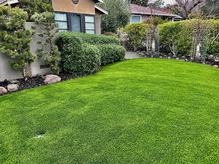 Natural Grass vs. Artificial Grass: A Feature Comparison
