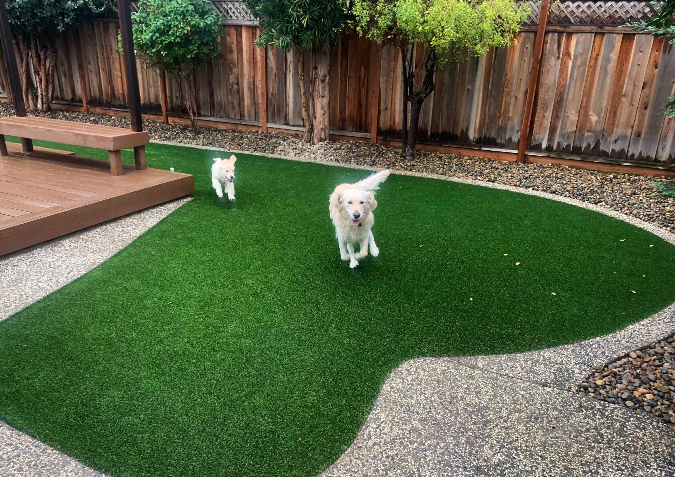 Why Artificial Grass is Ideal for High-Traffic Outdoor Living Areas