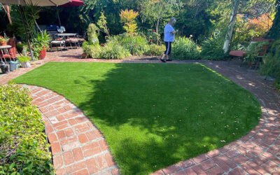 The Environmental Impact of Artificial Grass: Debunking the Myths