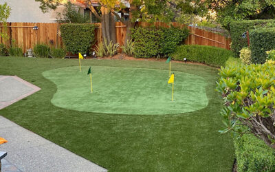 Why Artificial Grass Provides Higher Consistency for Backyard Putting Greens