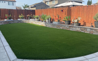 Dealing with Weeds and Moss on Artificial Grass: Effective Prevention and Removal