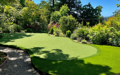 The Convenience of Practicing Golf on Artificial Greens at Home