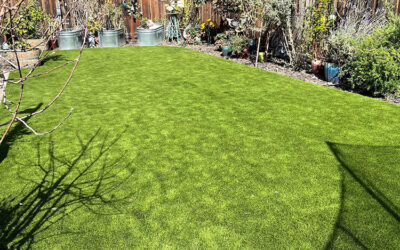 Artificial Grass Maintenance for Different Applications: Tailored Approaches