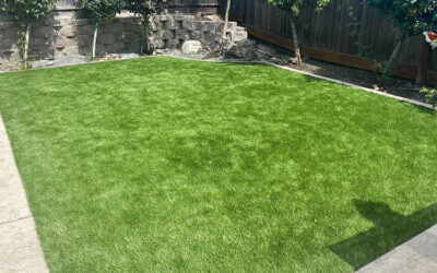 Routine Cleaning and Maintenance: Keeping Your Artificial Grass Looking its Best