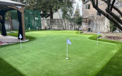 Increasing the Fun Factor: Features You Can Add to Your Backyard Putting Green