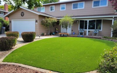 All-season Benefits: How Artificial Grass Stands Up to Harsh Weather Conditions