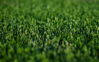 Artificial Grass – A Solution to Brown Spots and Mud Patches