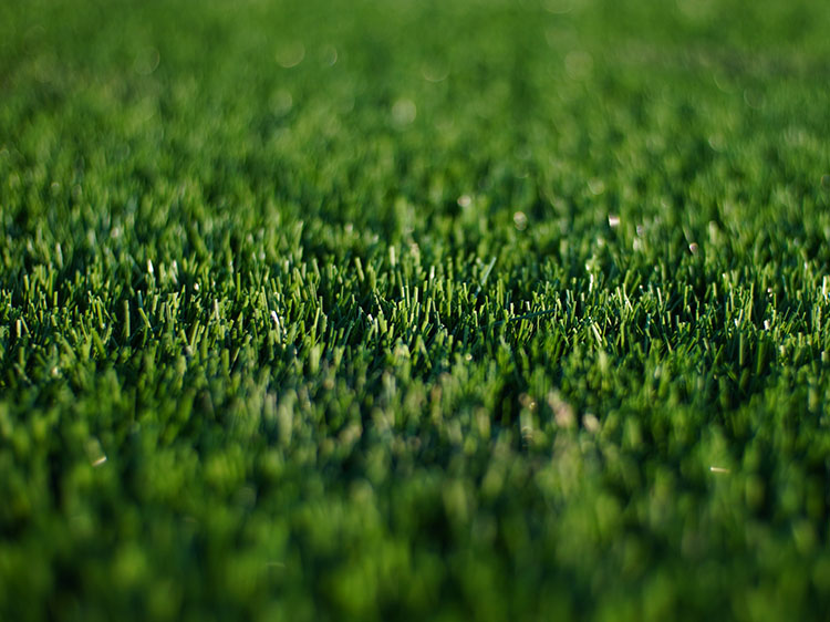 Artificial Grass – A Solution to Brown Spots and Mud Patches