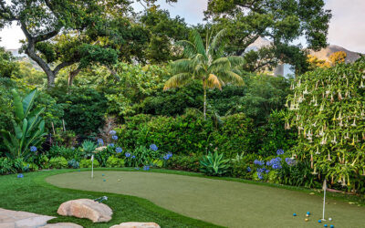 Weather Resistant Features of Artificial Grass for Backyard Putting Greens