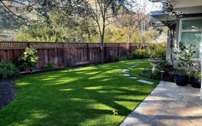 Debunking Myths: Is Artificial Grass Harmful to the Environment?