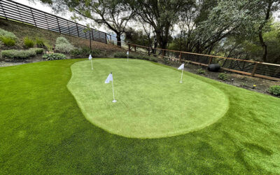 Maintenance Tips for Your Artificial Grass Putting Green