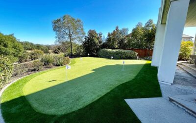 Key Features Needed in a Professional-Quality Backyard Putting Green