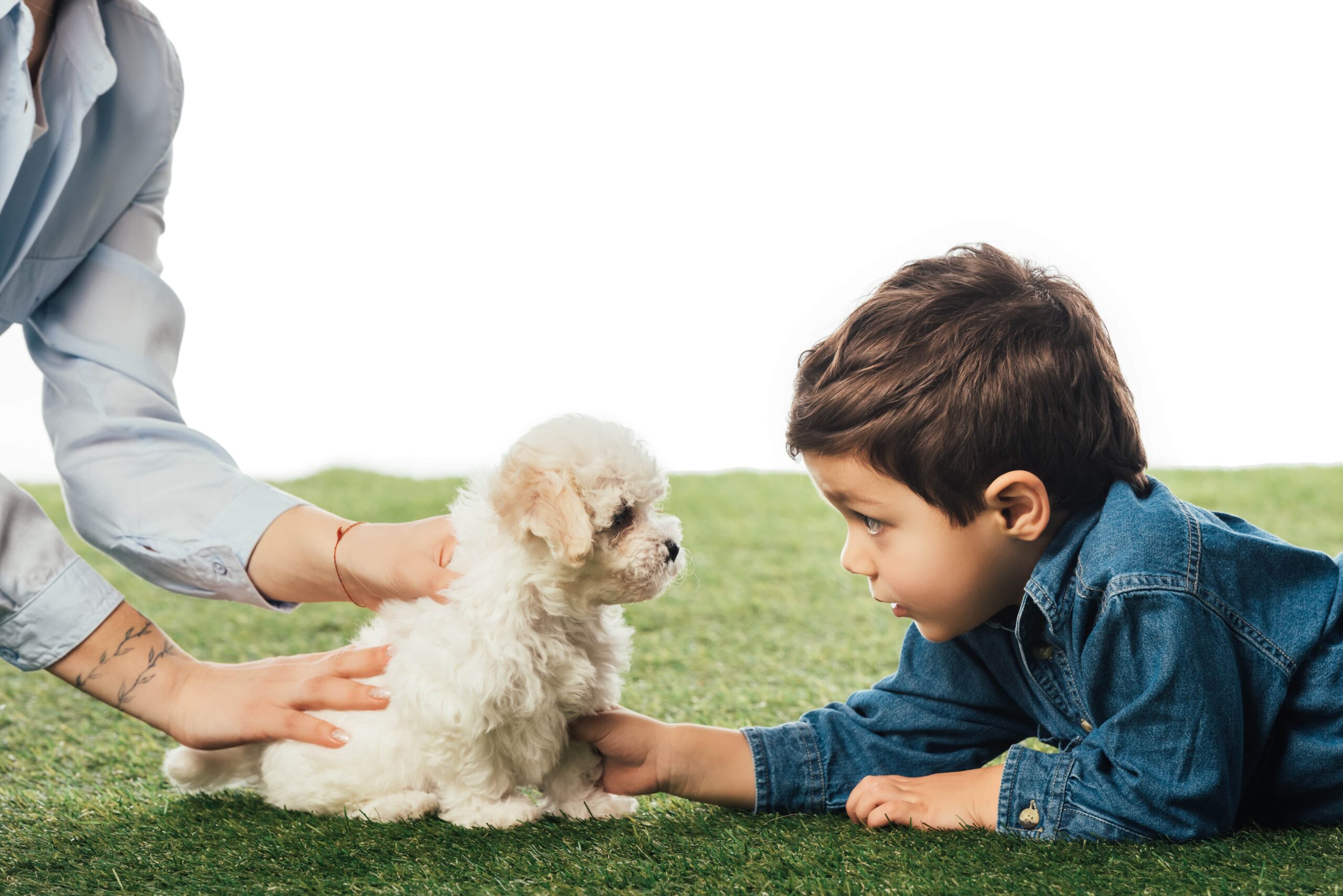 artificial grass pets and kids