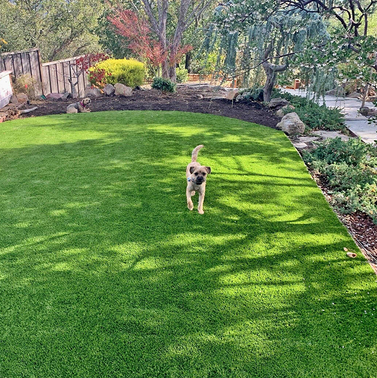 A Comprehensive Guide to Choosing the Ideal Artificial Grass for Your Pet