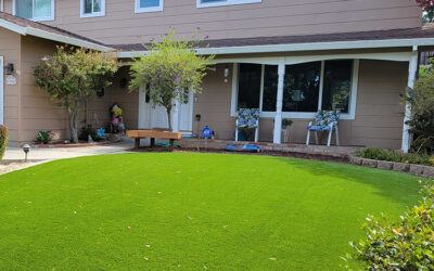 Cost Analysis: Real vs. Artificial Grass for Homes