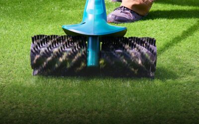 Backyard Brilliance: How to Clean Artificial Putting Green for Peak Performance