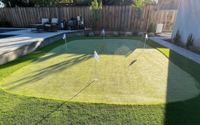 Professional Putting Green Ideas for Every Backyard